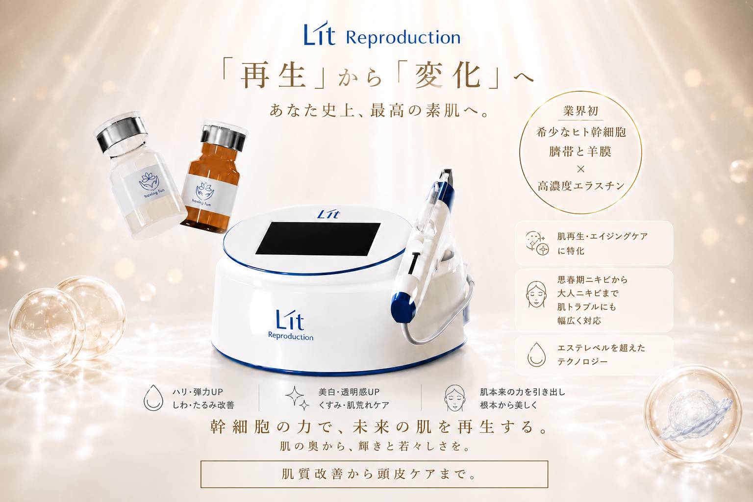 Lit幹細胞導入